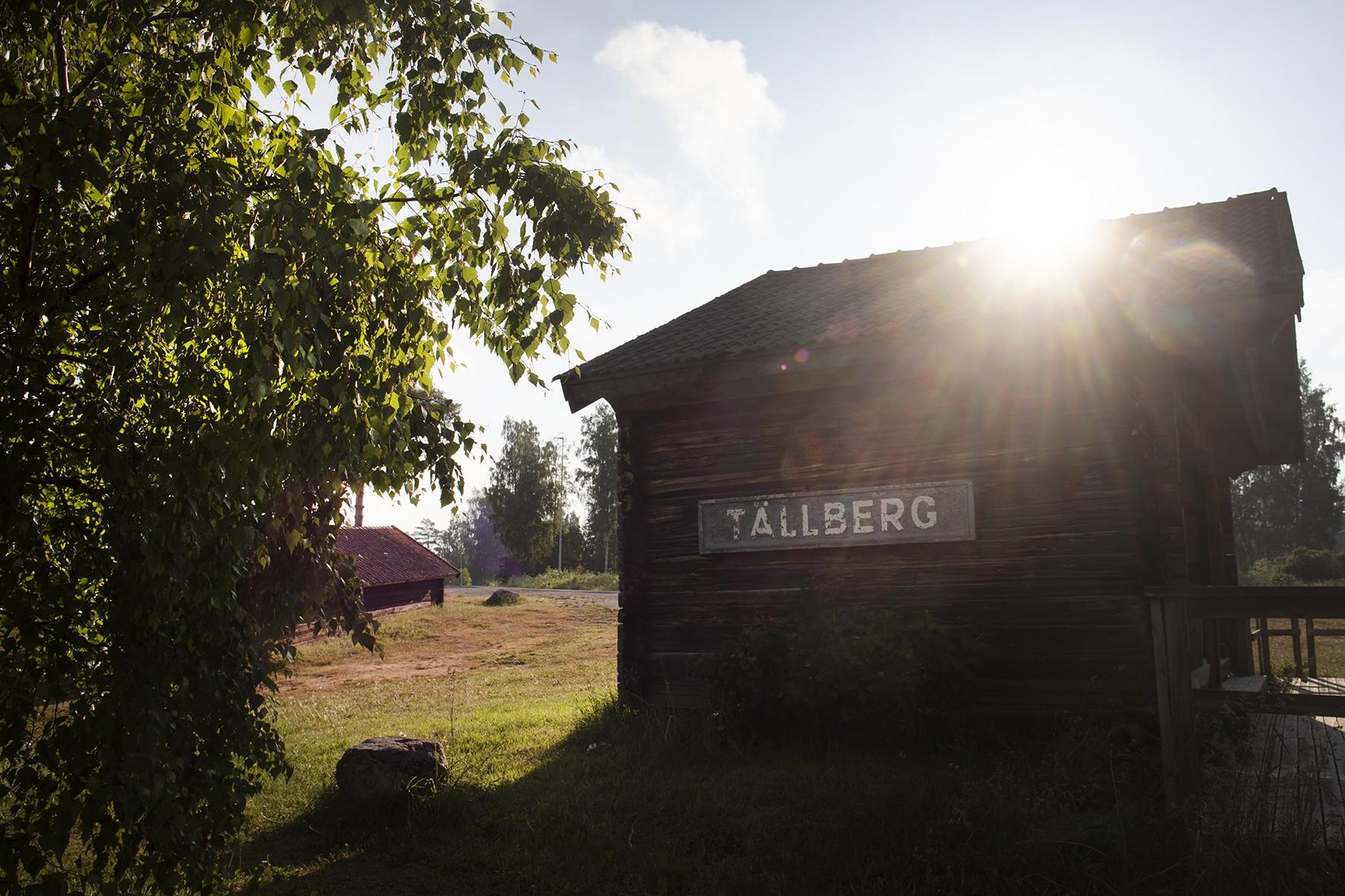 Midsommar Åkerblads